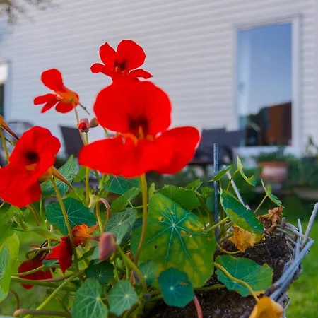 Strandheimen Gjestgiverier
